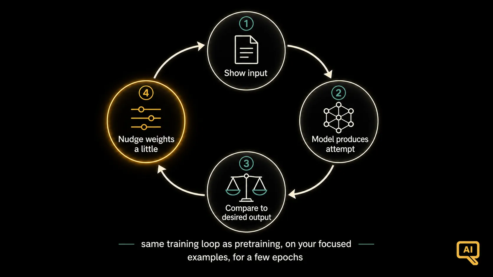 The fine-tuning training loop
